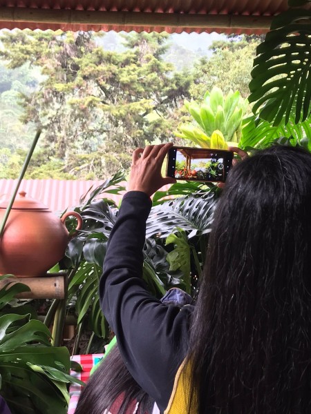 A view over the shoulder of a woman with long black hair, as she holds up her phone as she takes a picture of pottery and lush green monstera plants